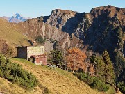 PIETRA QUADRA (2376 m) colorata d’autunno dalle Baite di Mezzeno-4nov24 -  FOTOGALLERY